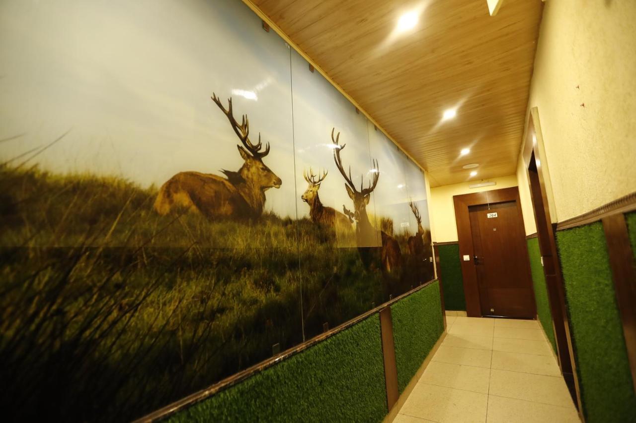 Hotel Kings Inn Mussoorie Ngoại thất bức ảnh